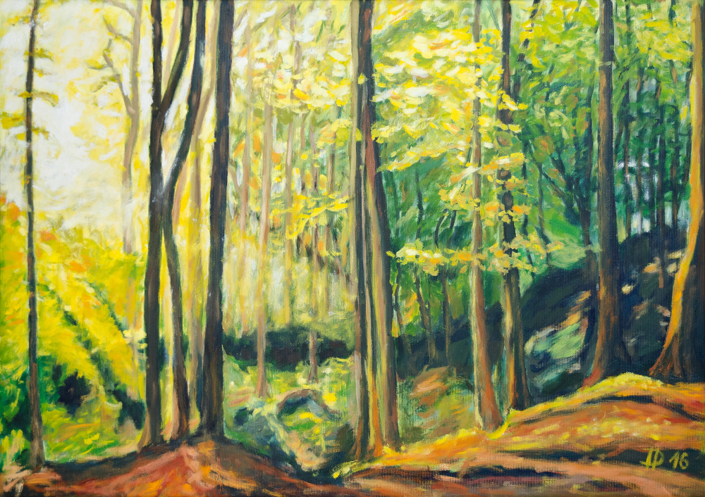 Prozářený les, 2016, olej na plátně, 50 x 70 cm